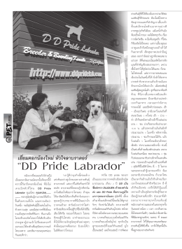 “DD Pride Labrador”