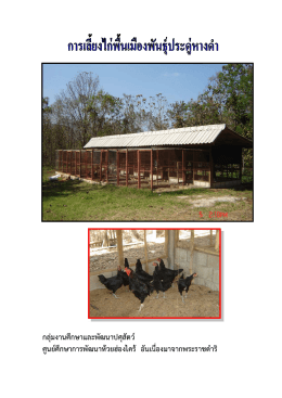 การเลี้ยงไก่ ประดู่หางดำ - ศูนย์ศึกษาการพัฒนาห้วยฮ่องไคร้ฯ