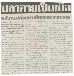 .ระยอง-ชาวบ้านเเห่ก้นลงจ็บปลาไรู๊