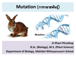 Mutation (การกลายพันธุ์)
