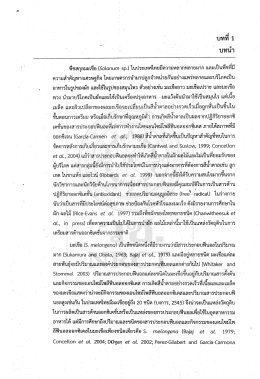 Fulltext #4