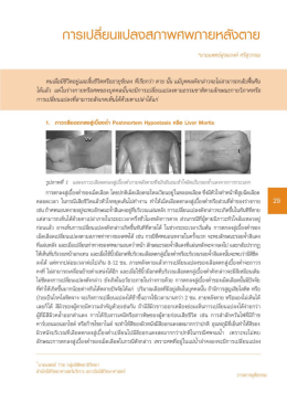 กา6|ปล๊อบแปลอสภาพคพภายหล่ํอตาย