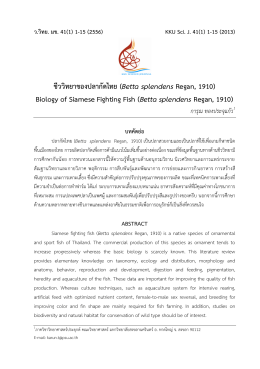 ชีววิทยาของปลากัดไทย - KKU Science Journal