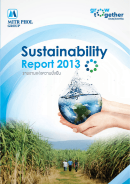 Sustainable Ways Forward Sustainability Report 2013