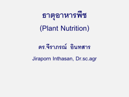 ธาตุอาหารพืช (Plant Nutrition) - mju