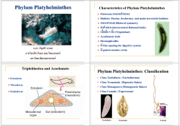อ.ดร. อัญชลี เอาผล - มหาวิทยาลัยเกษตรศาสตร์