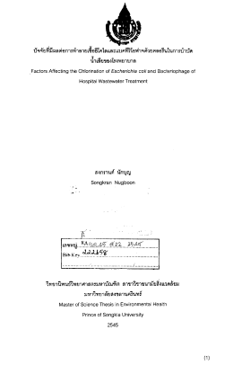 สงกรานต์ นักบุญ