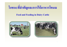 โภชนะทีÁ สําคัญและการให้อาหารโคนม Feed and Feeding in Dairy Cattle