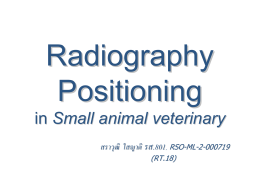 Radiographic positioning (การจัดท่าในการถ่ายภาพรังสีของสัตว์)