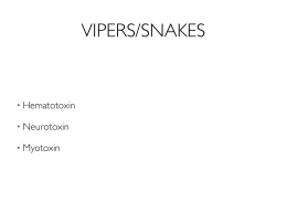 VIPERS/SNAKES