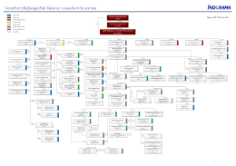 Visio-24.IVL Group Corporate Structure_as on 31-12