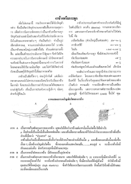 งาช้างหรือกระดูก