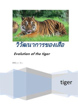 วิวัฒนาการของเสือ