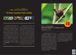 BCST55 vol.03 edit.indd - สมาคมอนุรักษ์นกและธรรมชาติแห่งประเทศไทย