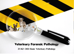 Forensic Veterinary Pathology