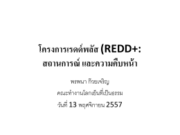 PK สถานการณ์และความคืบหน้า REDD+ - Thai Climate Justice Working