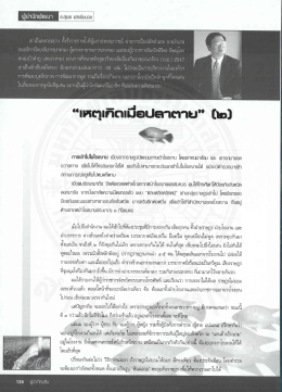 เขาเป็นหลายอย่าง ส์์ธช้าิปิซการุน๊าตีผู้มาก