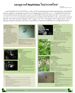 ภาพนิ่ง 1 - Thai Nature Education Centre ศูนย์ธรรมชาติศึกษาไทย