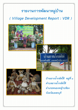 รายงานการพัฒนาหมู่บ้าน ( Village Development Report : VDR )