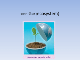 ระบบนิเวศ (ecosystem)