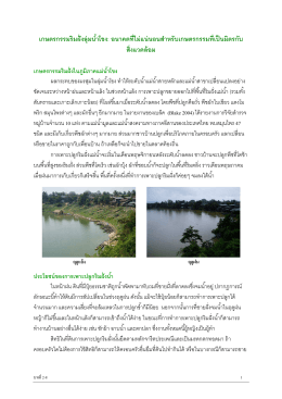 เกษตรกรรมริมฝังลุ่มนําโขง: อนาคตทีไม่แน่นอน