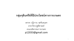 กลุ่มจุลินทรีย์ที่มีประโยชน์ทางการเกษตร