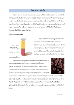 เลือด...สายธารแห่งชีวิต