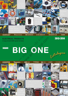 BIG ONE - บริษัท เอ็นไซ กรุ๊ป จำกัด