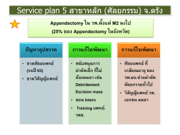 Service plan 5 สาขาหลัก (ศัลยกรรม) จ.ตรัง