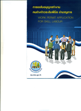 การขอใบอนุญาตทำงาน คนต่างด้าวระดับฝีมือ ชำนาญการ (Work Permit