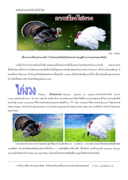 การ เลี้ยง ไก่ งวง - สำนักส่งเสริมและฝึกอบรม มหาวิทยาลัยเกษตรศาสตร์