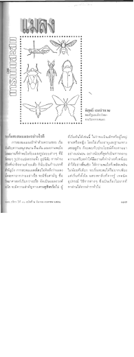 จะเรึมสะสมเเมลงอย่างไรดี