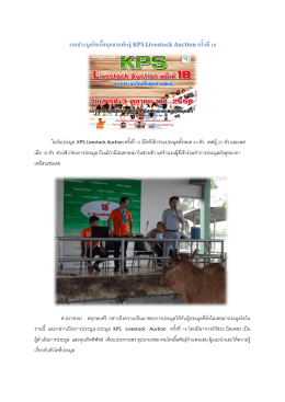 งานประมูลโคเนื้อทุกสายพันธุ์ KPS Livestock Auction ครั้งท