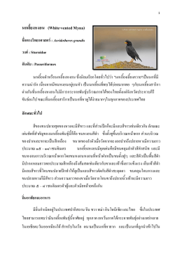 นกเอี้ยงหงอน (White-vented Myna) - กรมอุทยานแห่งชาติ สัตว์ป่า และพันธุ์