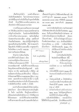 กะทิผง