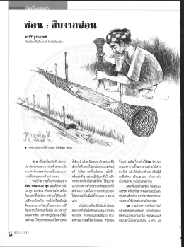ซ่อน =สึบจากขํอน