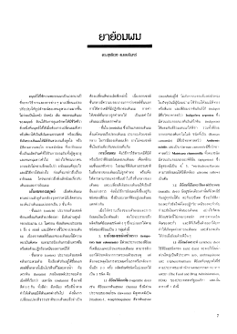 ยา ย้อม ผม