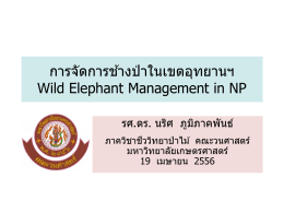 การจัดการช้างป่าในเขตอุทยานฯ Wild Elephant Management in NP