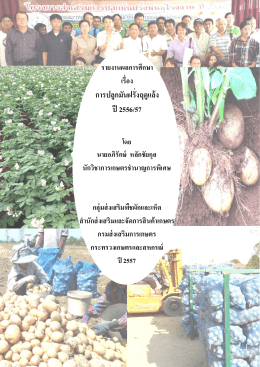 การปลูกมันฝรั่งฤดูแล้ง ปี 2556/57 - สำนักส่งเสริมและจัดการสินค้าเกษตร
