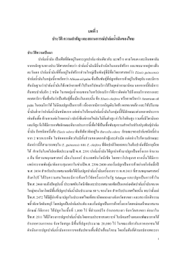 บทที่ 1 : ประวัติและสถานการณ์ปาล์มน้ำมันของไทย