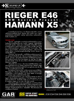 rieger e46 - BMW Society