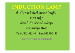 INDUCTION LAMP