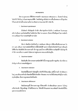 ในนิวกินี ชืงเป็นเกาะในมหาดมุทรแปซิฟิก โดยม  ¸