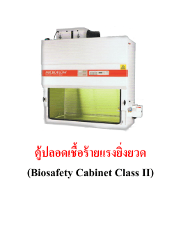 ตู้ปลอดเชื้อร้ายแรงยิ่งยวด (Biosafety Cabinet Class II)