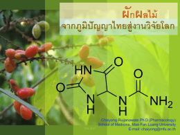 ผักผลไม้ จากภูมิปัญญาไทยสู่งานวิจัยลลก