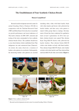 The Establishment of Four Synthetic Chicken Breeds