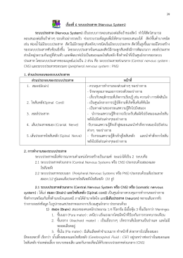 ระบบประสาท (Nervous system)