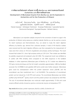 การพัฒนาเอนไซม์แอลฟา อะไมเลส จากเชื้อ Bacillus