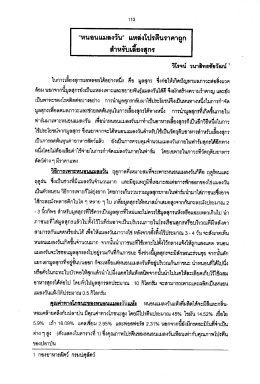 หนอนแมลงวัน แหล่งโปรตีนราคาถูกสำหรับเลี้ยงสุกร