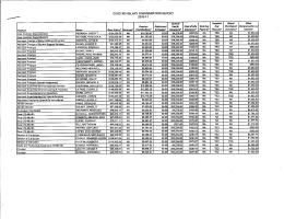 2010-2011 Salary Compensation Report